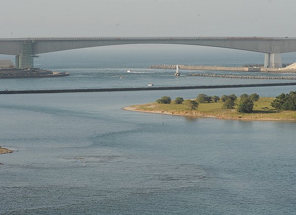 おはよう！南浜名湖 9月1日 舞阪漁港底曳き漁解禁、浜名湖最大のクマエビ育つ