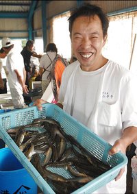 浜名湖ハゼの刺身・天ぷらはじまる　弁天島山本亭