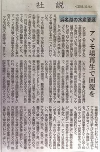 浜名湖の水産資源 アマモ場再生で回復を　静岡新聞社説