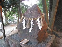 舞阪岐佐神社に縁結びの木　鈴木五十廣先生ご寄稿