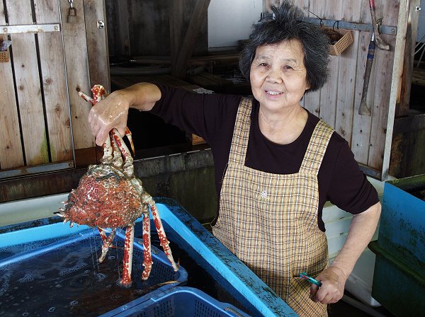 舞阪港底曳き漁　タカアシガニ　丸小水産ばあばのオススメ