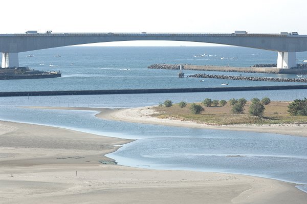 おはよう！南浜名湖 11月4日 しらす網曳く静かな海