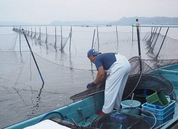 浜名湖伝統漁角立て網を訪ねる 村櫛漁師高山成顕さん