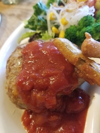 今日の日替わりランチ♪ 2019/02/16 11:20:21