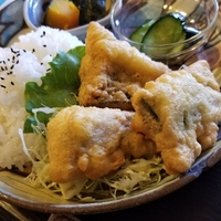 今日の日替わりランチ♪ 2019/06/19 11:39:27