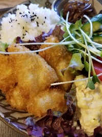 今日の日替わりランチ&スィーツ♪ 2019/01/18 11:39:31