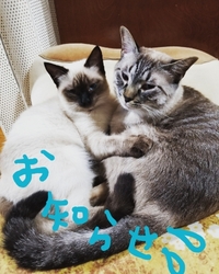 来週の営業について。 2018/11/03 11:57:18
