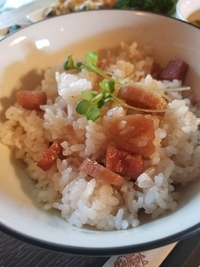 今日の日替わりランチ&スィーツ♪ 2018/02/13 11:46:58