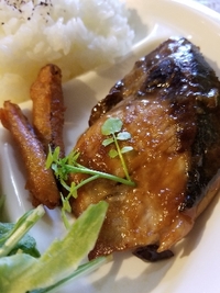 今日の日替わりランチ♪ 2019/03/13 11:27:13