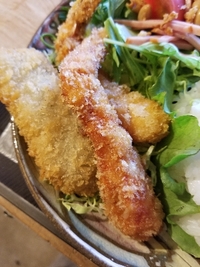 今日の日替わりランチ♪ 2019/05/15 11:10:10