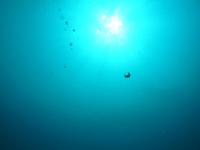 また潜って来ました 2013/08/12 21:24:48