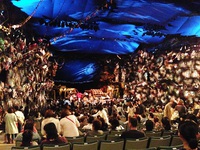 今日はCATS公演 30周年の日 2013/11/11 20:39:18