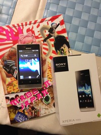 チェコ&スロバキア　ネット&スマートホン事情 2012/12/03 00:00:00