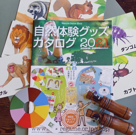 10月13日の記事