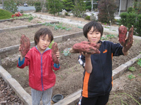 秋の収穫祭　開催しました！ 2012/11/16 14:06:32