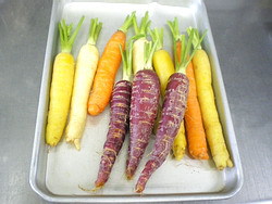 カラフル・・・・・キャロット　♪