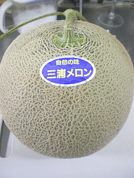 メロンいただきましたぁ！ 2015/07/17 15:49:56