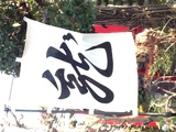 乱れ龍