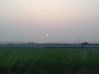 朝二 2013/08/14 05:37:42