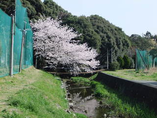 東神田川