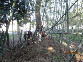 平成31年2月活動報告