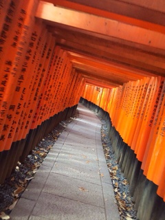 修学旅行以来の京都
