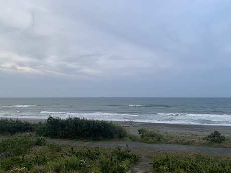 WAVE info