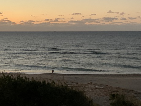 WAVE info