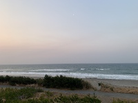WAVE info