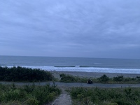 WAVE info