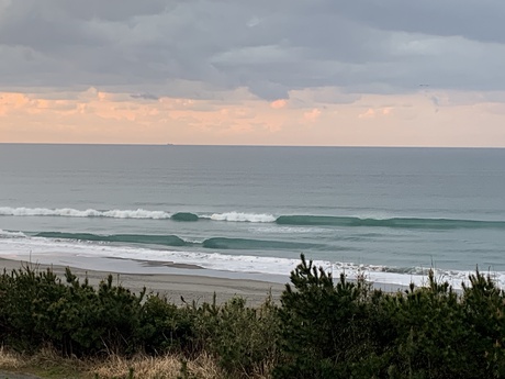 WAVE info