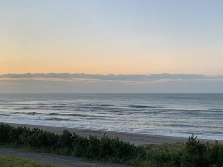 WAVE info