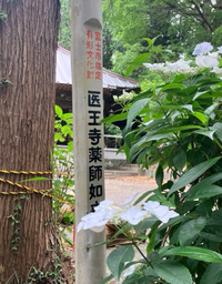 富士市　医王寺