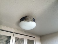 ごめんね 2015/04/26 09:14:04