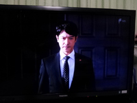 「半沢直樹」にハマりそう 2013/08/26 09:05:30