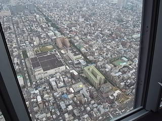 宅建研修旅行　スカイツリ－へ