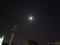 お月見便利グッズ 2013/09/20 09:52:59