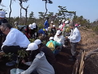 砂丘小の子供達と植樹