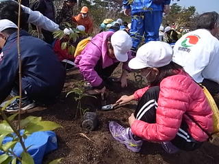 砂丘小の子供達と植樹