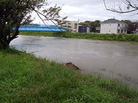 台風上陸 2014/10/06 11:04:18