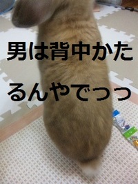 男の背中 2010/12/03 22:34:35