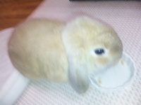 成長期？ 2010/03/24 22:30:16