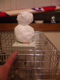 雪だるまとちゃい 2011/01/16 22:14:13