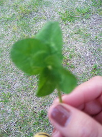 ラッキー 2011/05/13 16:00:00