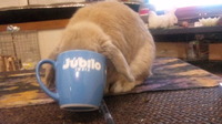 おひさです 2011/06/11 23:55:43
