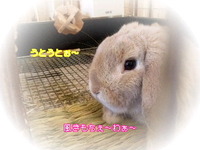 昼寝 2010/11/01 11:55:22