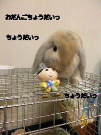 おだんごだんだんだだんのだーん 2010/06/03 20:59:40