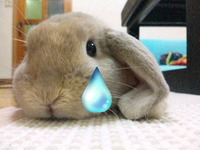 げりぴー 2010/06/08 15:29:11