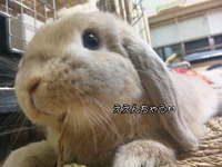暑いから３ 2010/06/27 12:00:14
