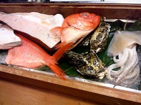 お魚～(^o^)v 2012/03/28 00:04:56